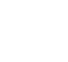 Interpol logo