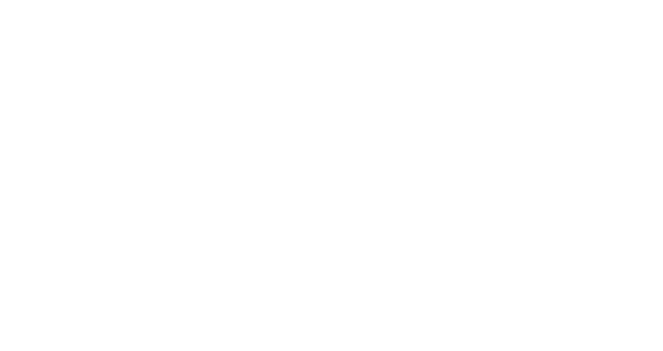 ZT Systems logo