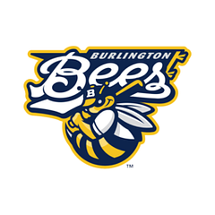 Burlington Bees logo