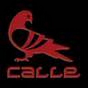 Calle Trucking LLC logo
