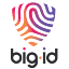 BigID logo