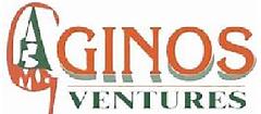 Ginos Ventures logo