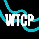 Waterfall Technology Consulting Partners logo