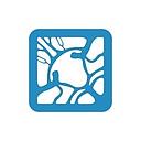 Insight logo