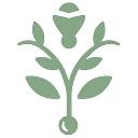 The Charleston Place logo