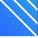 Franz Personalpartner  & Co KG logo