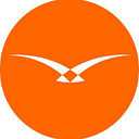 Hawk-Eye Innovations (HEI) logo