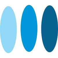 The IT Firm logo