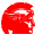 BKT USA INC logo