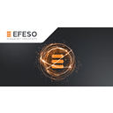 EFESO Management Consultants - Americas logo