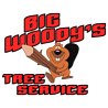 Big Woody's Tree Service logo
