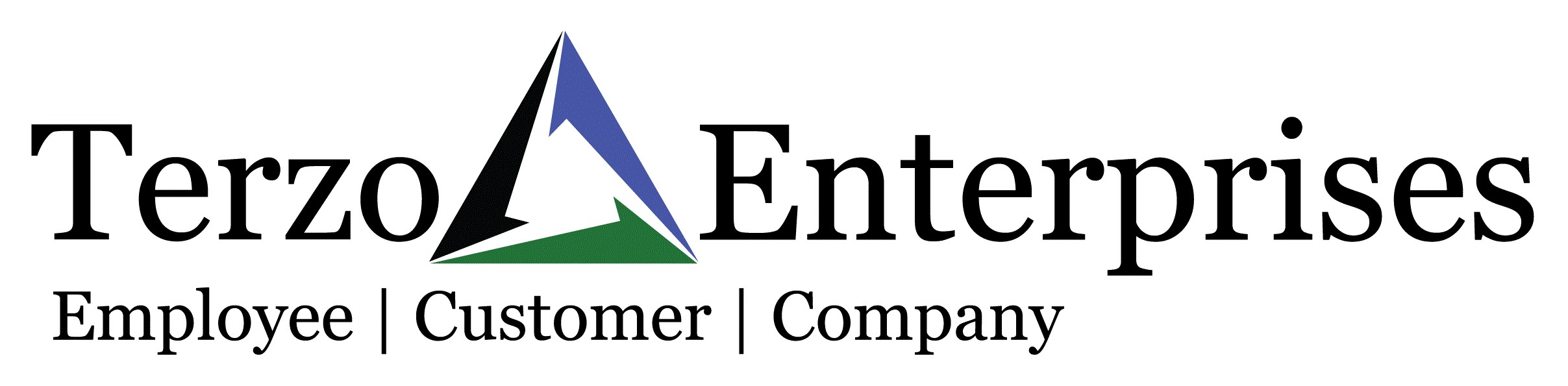 Terzo Enterprises logo