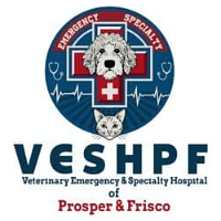 Concierge Elite logo