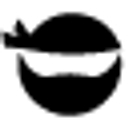Ninja Teacher logo