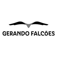 Gerando Falcões logo