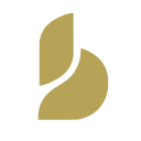 Baton Corporation Ltd logo