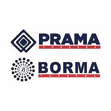 Prama Borma Group  logo