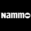 Nammo Defense Systems logo