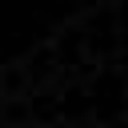 Lynn Rodens logo