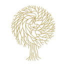 Skinmatics Dermatology LLP logo