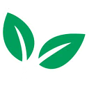 Fresh Express logo