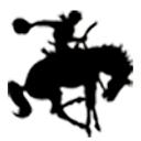 Willcox Unified School District logo