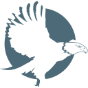 Valliant Consulting Group logo