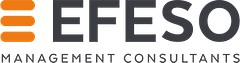 EFESO Management Consultants logo