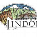 Lindon Manufacturing & Lab logo