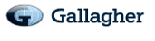 Gallagher Bassett logo