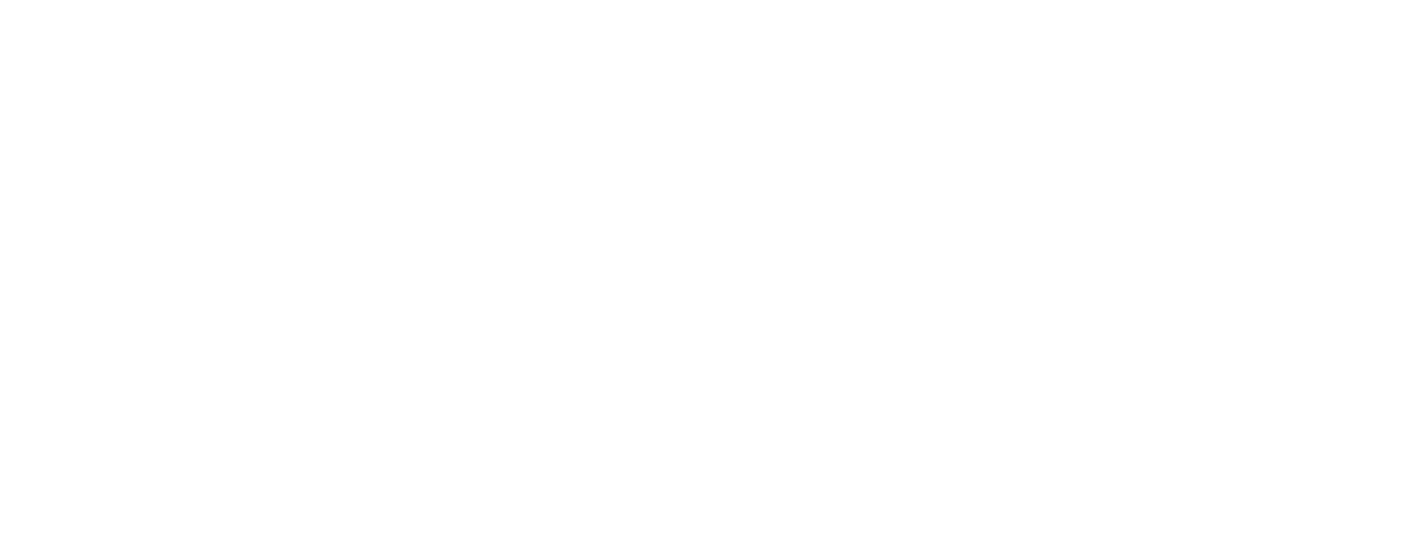 Western Express logo