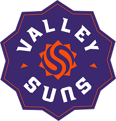 Player 15 Group / Valley Suns logo