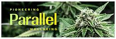 Parallel logo