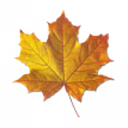 Maple Lane Transportation Systems Inc. logo