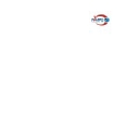 RAMPS International logo