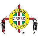 PCI Government Services logo