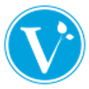 The Village Company logo