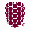 Dewberry logo