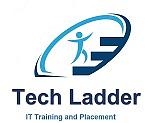 Techladder logo