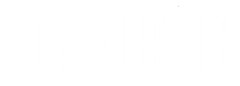 TEAM LEWIS logo