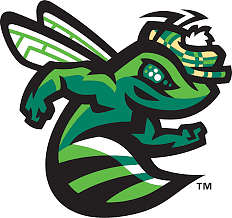 Augusta GreenJackets logo