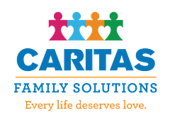 Christian Social Service Of Illino logo