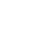 Magna Hardwood Floors Int'l Inc. logo