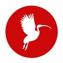 Ibis Public Sector logo