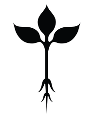 Roots Natural Kitchen logo