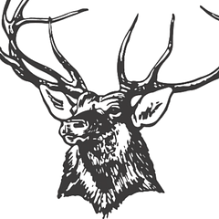 Elk City Public Schools logo