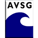 Vehicle Service Group logo
