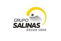 Grupo Salinas de Guatemala logo