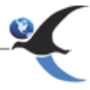 Careers International logo