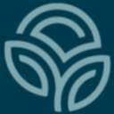 NSP logo